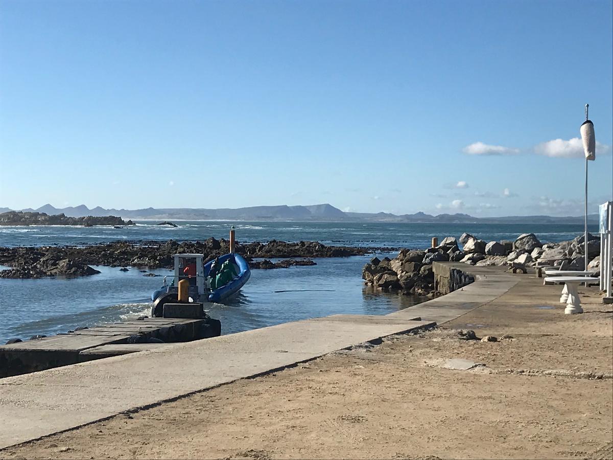 Fairview Accommodation Gansbaai Eksteriør billede